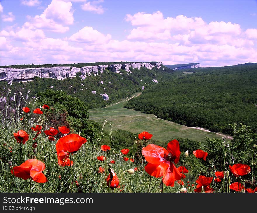 Landscapes of Crimean mountains, poppies of a cave city. Landscapes of Crimean mountains, poppies of a cave city.