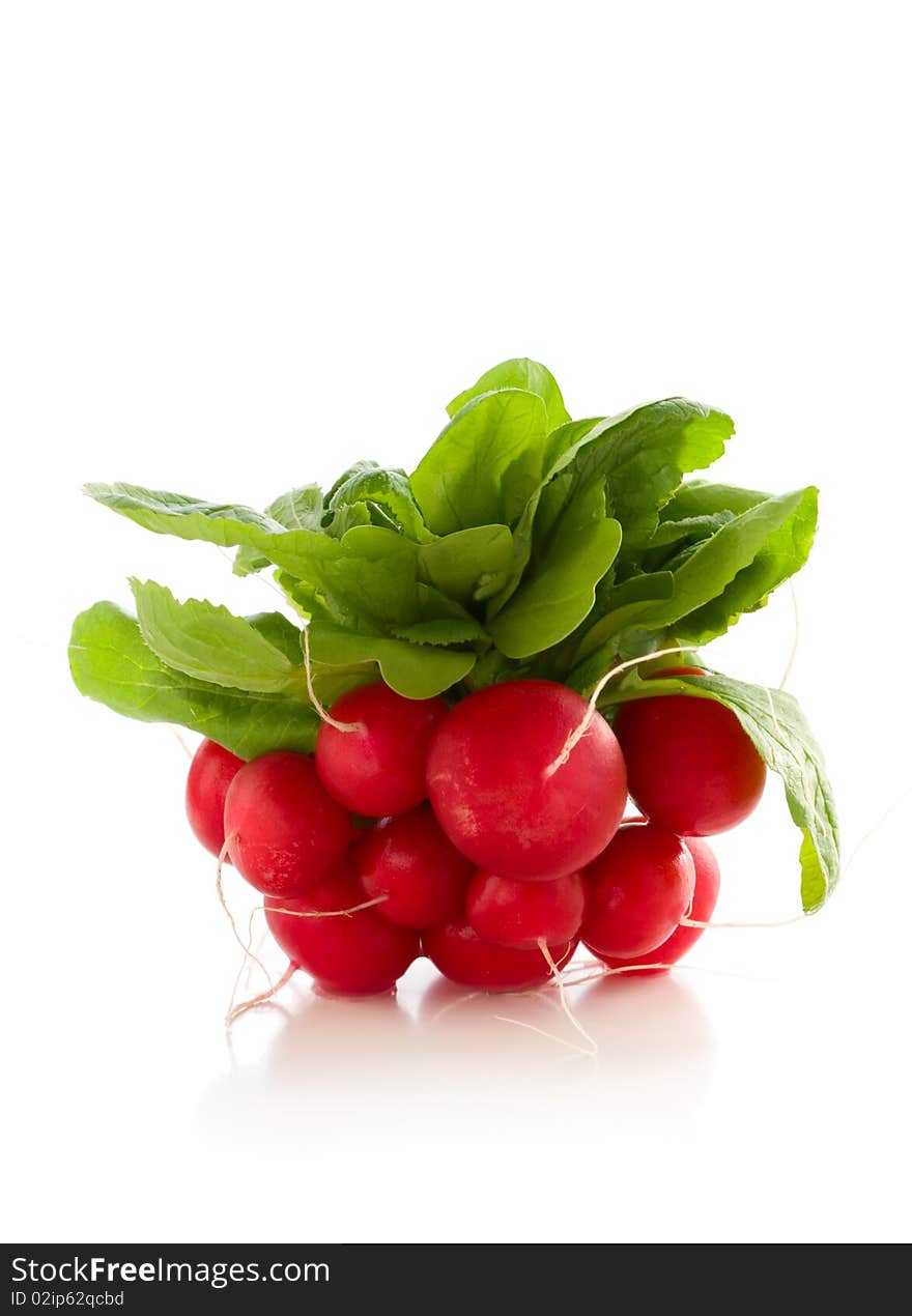 Fresh red radish