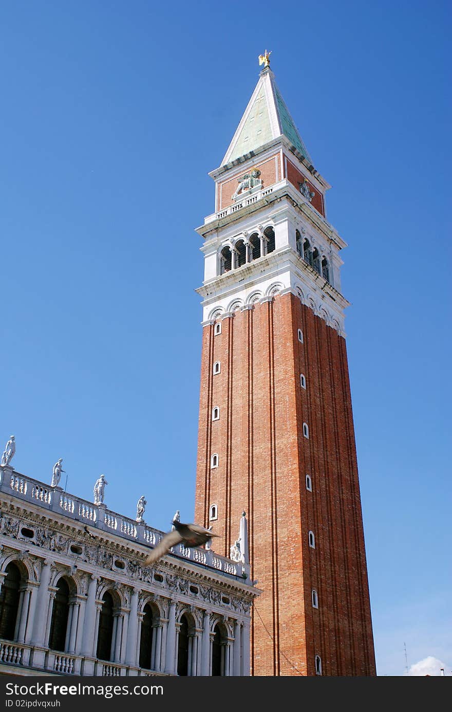 A photo shows the Campanile in San Marco square of Venice, and photo taken in 2008. A photo shows the Campanile in San Marco square of Venice, and photo taken in 2008