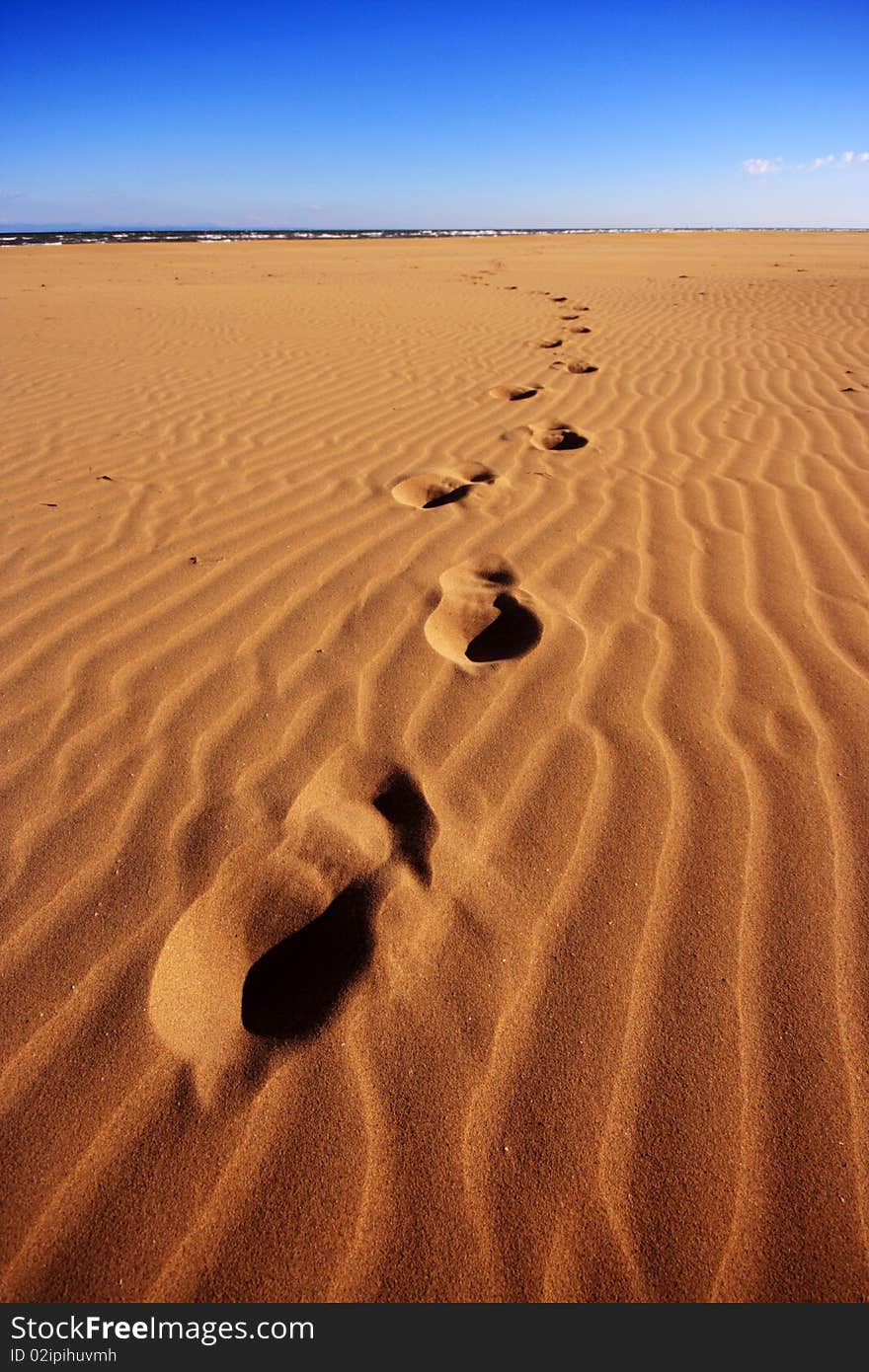 Footsteps Going Over The Sand From The Sea