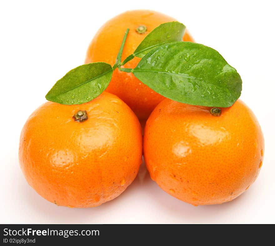 Fresh fruit on a white background