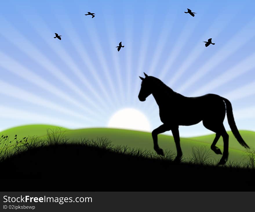 Horse grazes on meadow on background rising sun