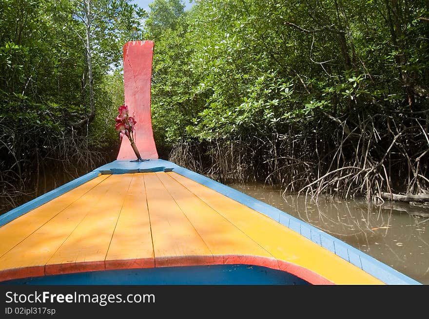 Colourful boat ventures into a mangrove swamp. Colourful boat ventures into a mangrove swamp