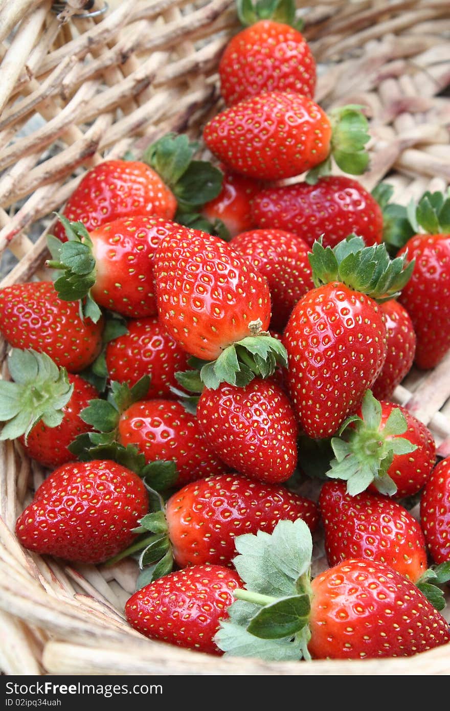 Fresh Strawberries in Basket