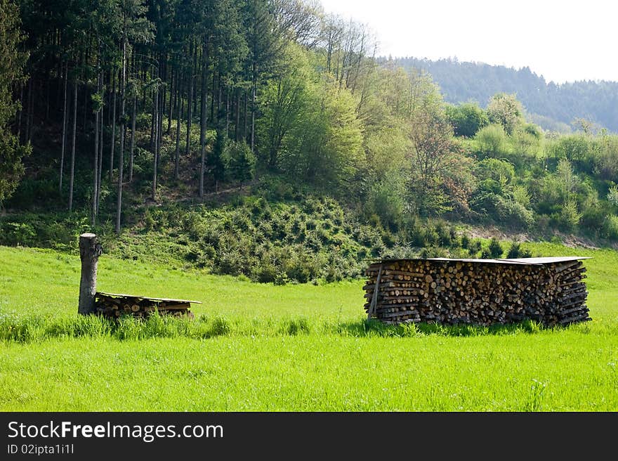 Grassland and stored firewood on sunny edge  of  the  wood in Black Forest. Grassland and stored firewood on sunny edge  of  the  wood in Black Forest