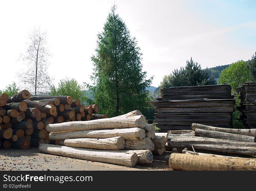 Storage of boles in the Black Forest. Storage of boles in the Black Forest