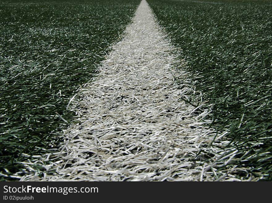 White line of turf