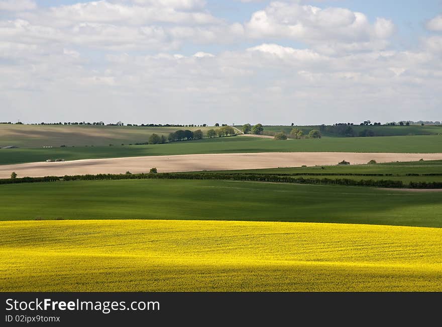 Hampshire Countryside