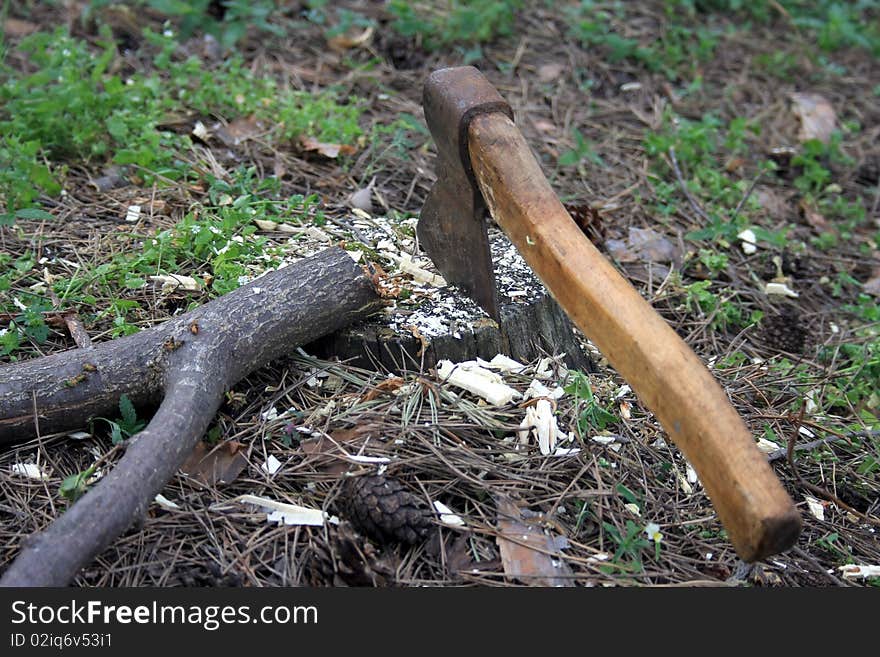 An ax is hammered in a stump, firewoods, cones, lie alongside. An ax is hammered in a stump, firewoods, cones, lie alongside