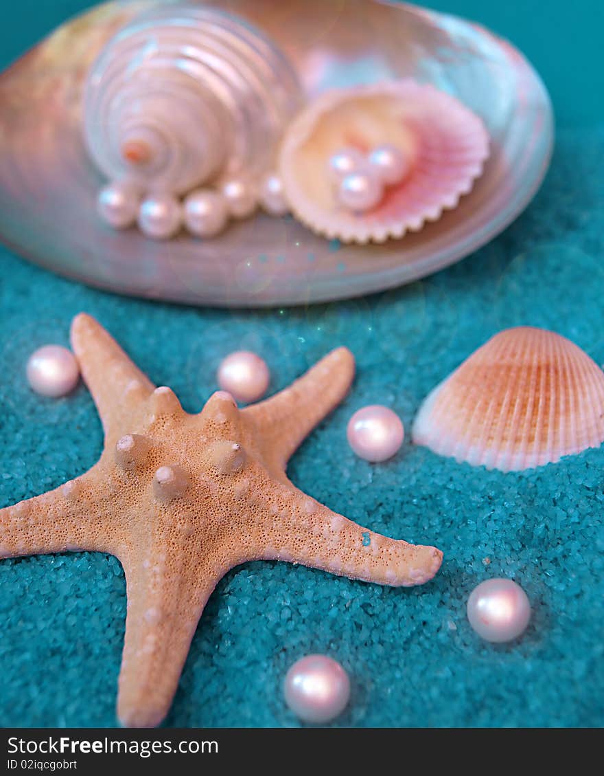 Beautiful shells and pearls isolated on interesting blue background made of rocks. Beautiful shells and pearls isolated on interesting blue background made of rocks