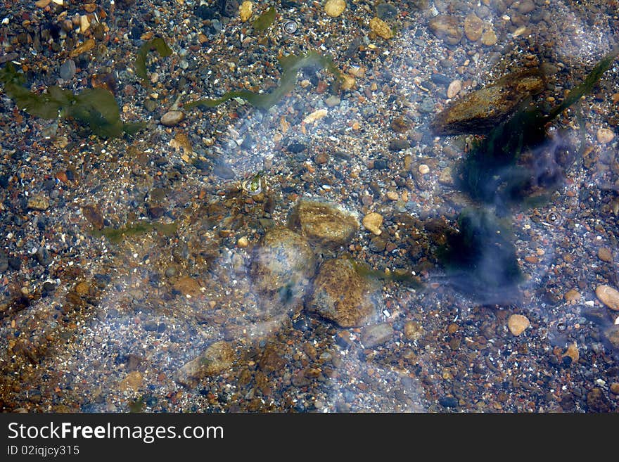 Sea-bottom with stones and water