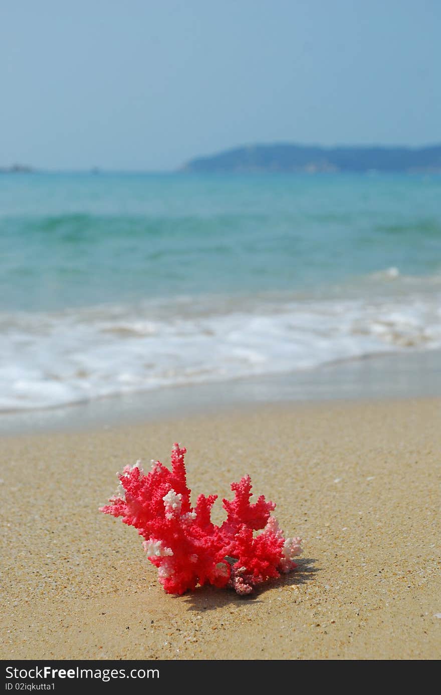 Coral sand on the beach and the sea background