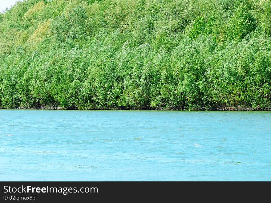 Summer landscape. Forest and river