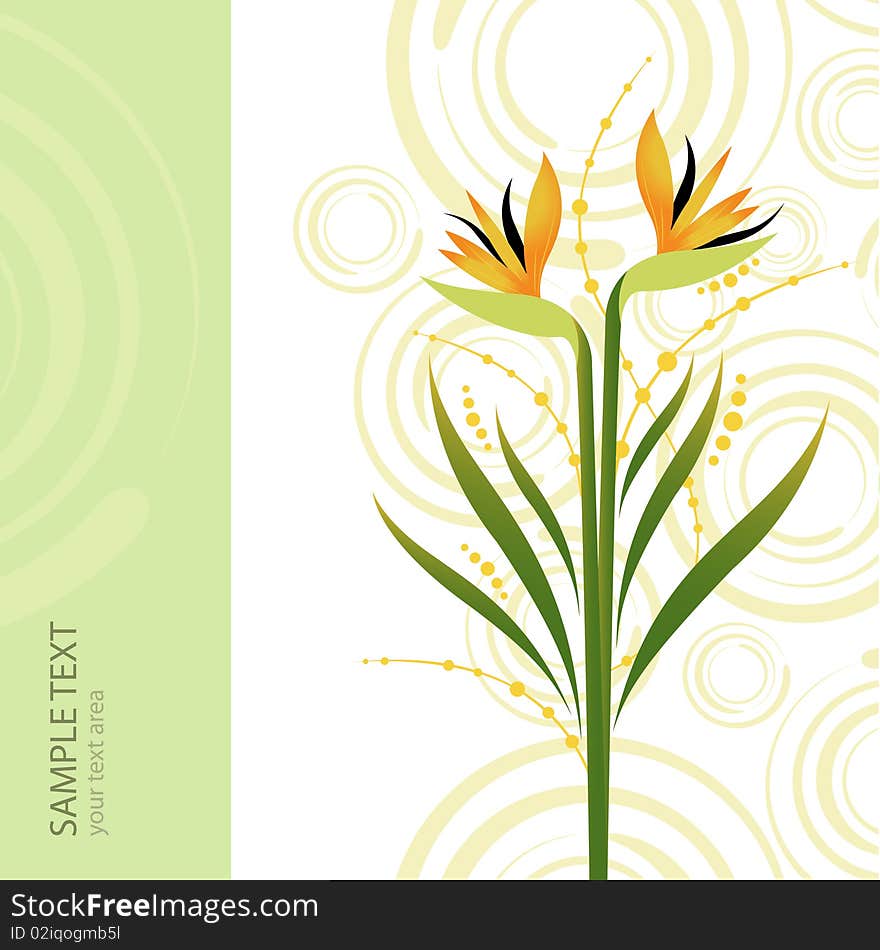 Abstract Floral Background