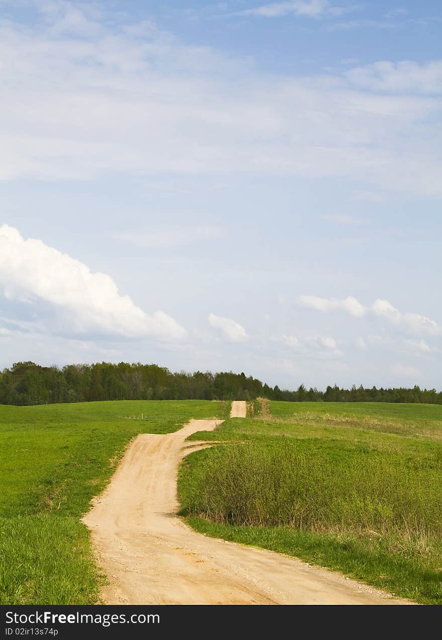 Road through the spring meadow. Road through the spring meadow