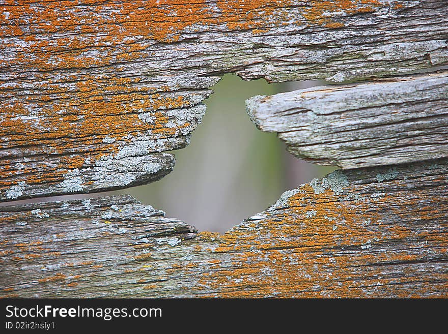 a close up of old wood texture