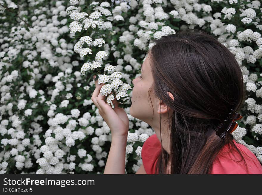 Beautiful girl smells white flowers