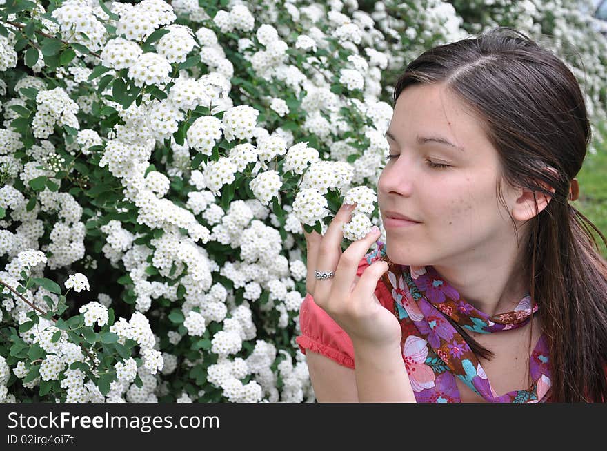 Young beautiful girl smells white flowers. Young beautiful girl smells white flowers