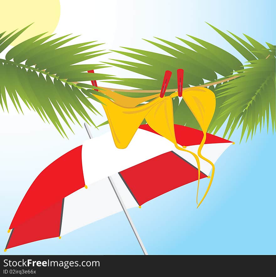 Swimming suit dries on the branches of palms. Illustration