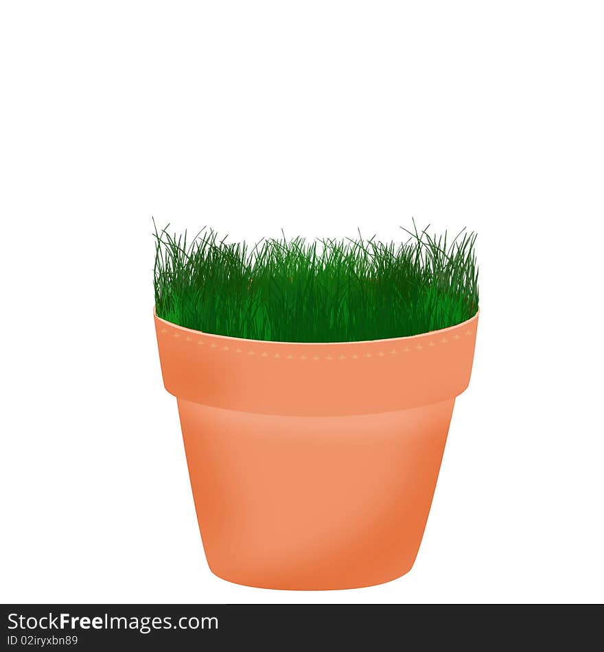 Pot with small plant growing isolated on white background