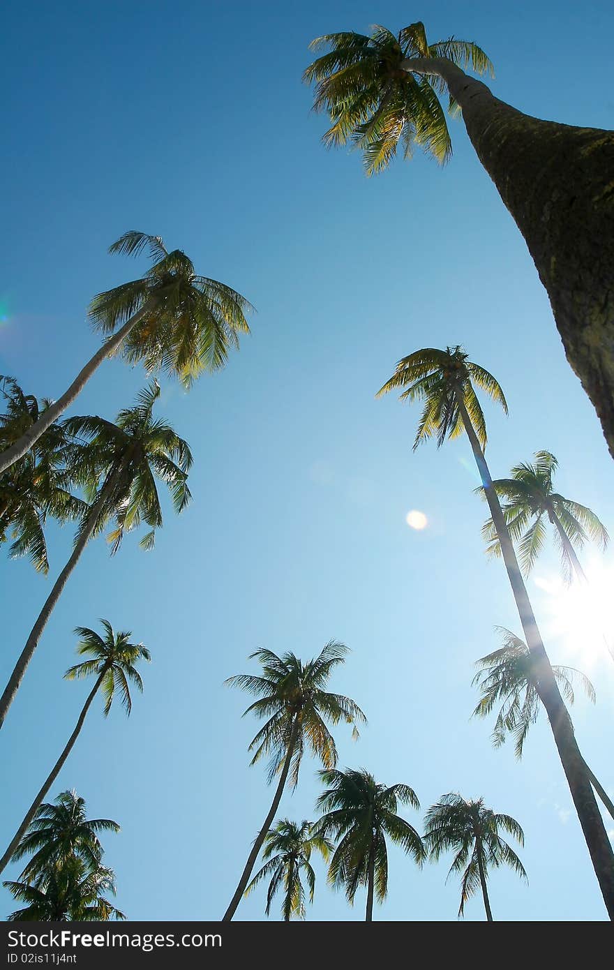 East coast of peninsular Malaysia. East coast of peninsular Malaysia