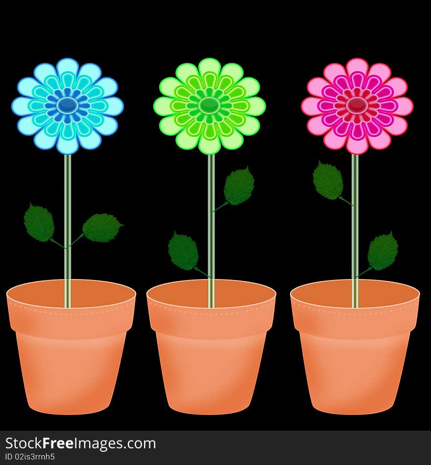 Beautiful vibrant flowers in pots isolated on black background. Beautiful vibrant flowers in pots isolated on black background