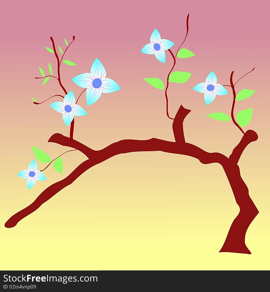 Vector colored illustration of spring blossoms