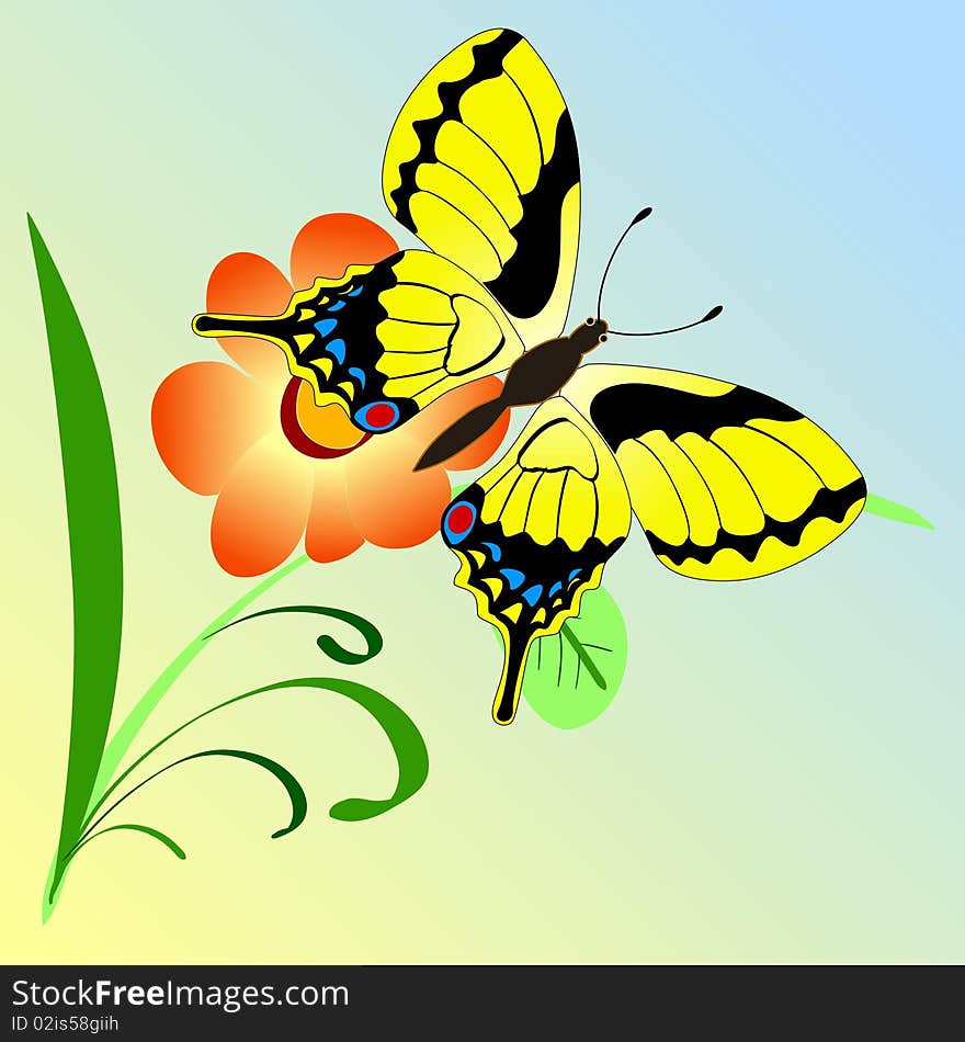 Vector illustration of butterfly on a branch