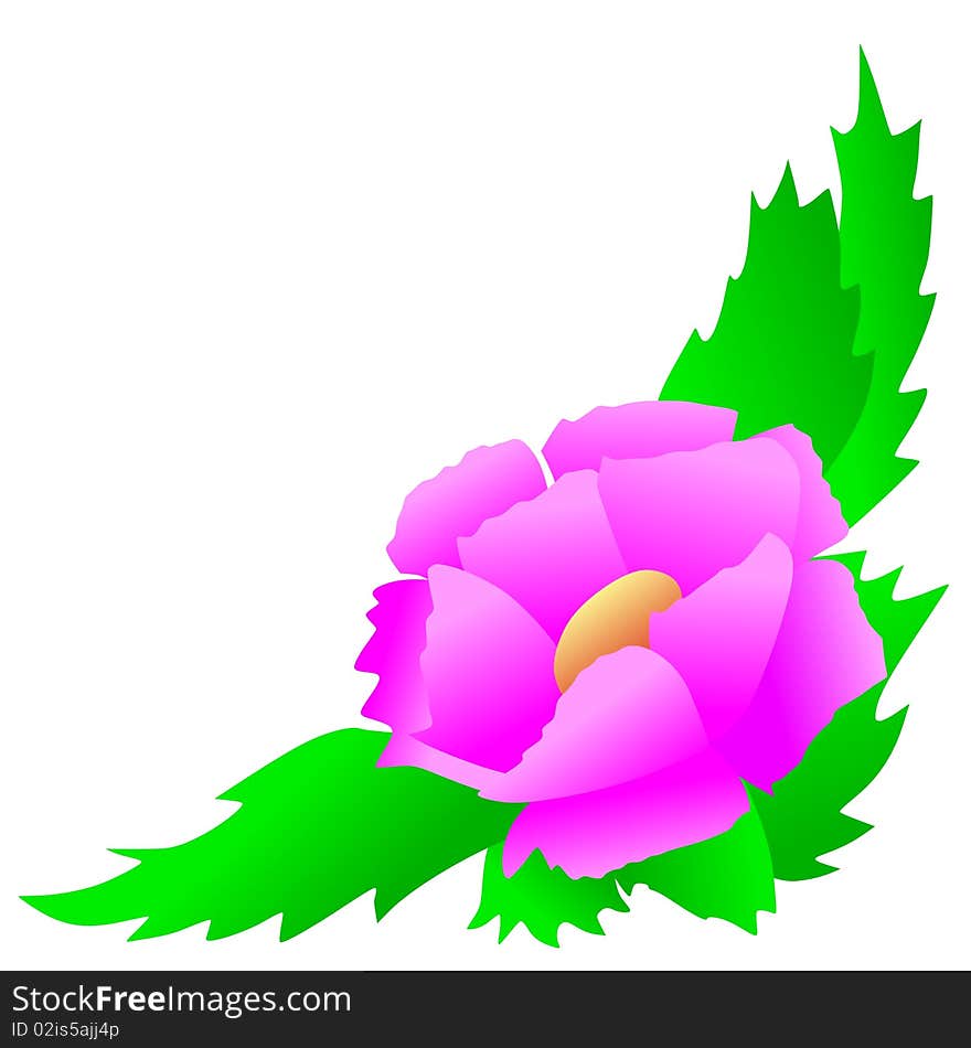 Vector colored corner floral composition