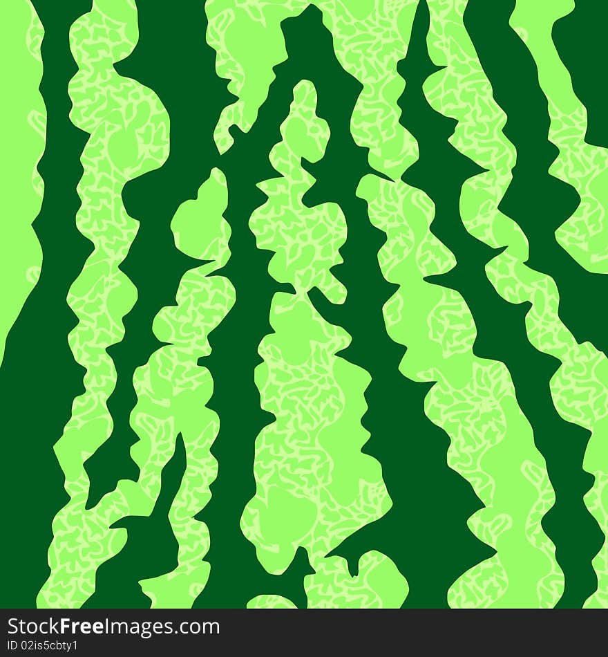 Vector illustration of texture of watermelon skin