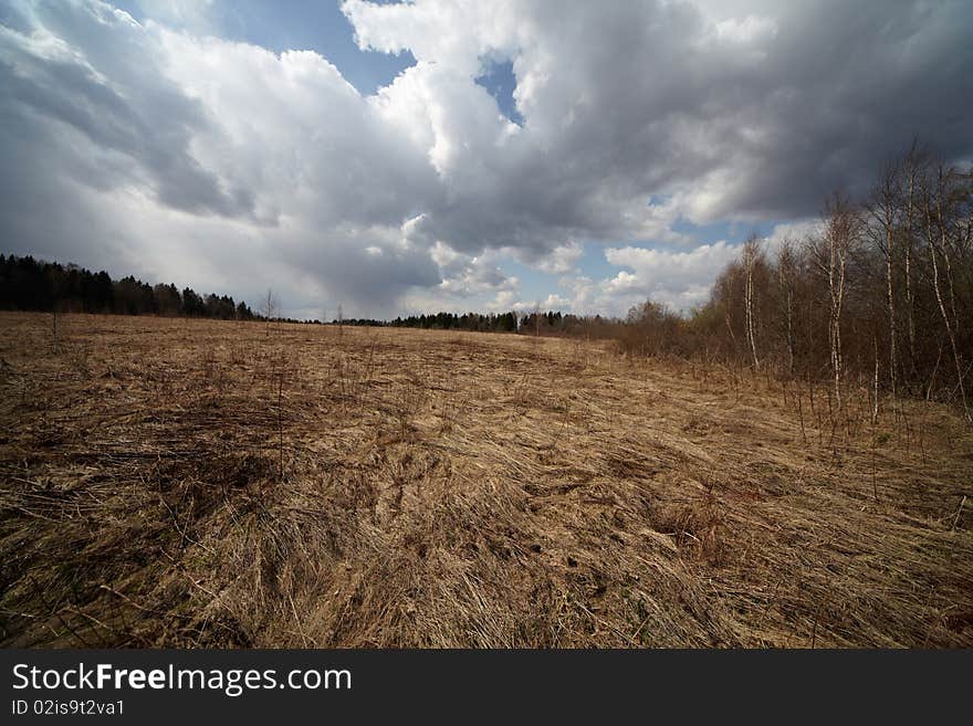 Russian field in early spring