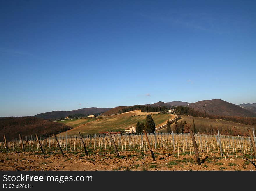 Tuscany Vineyard And  Landscape