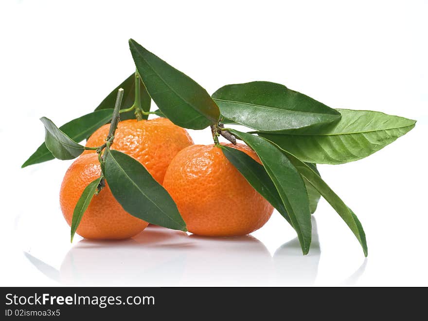 Tangerines with green leaves