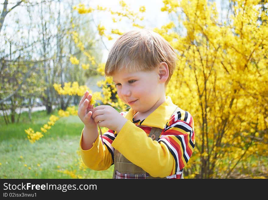 The little boy with a yellow flower. The little boy with a yellow flower