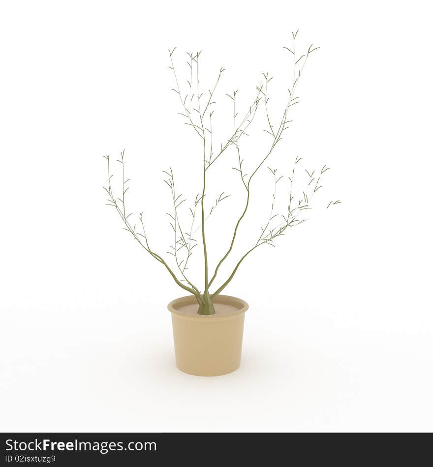 Small tree isolated on white - 3d illustration