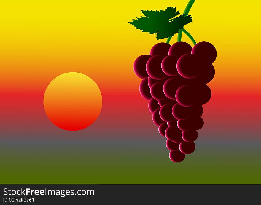 Ripe grape