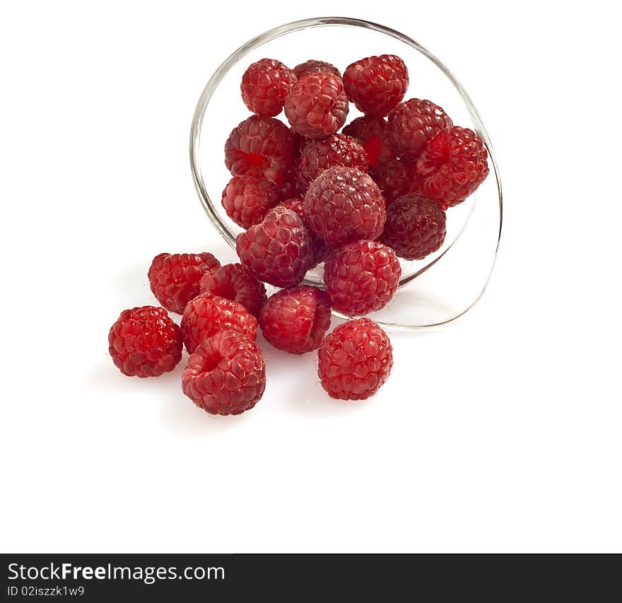 Freshly picked raspberries on white background