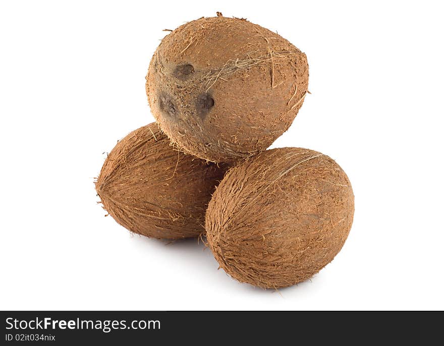 Three coconut isolated on a white background