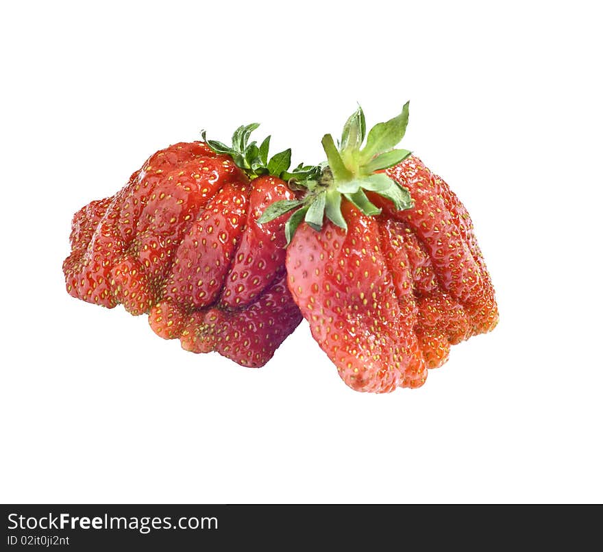 Freshly picked strawberries on a white background