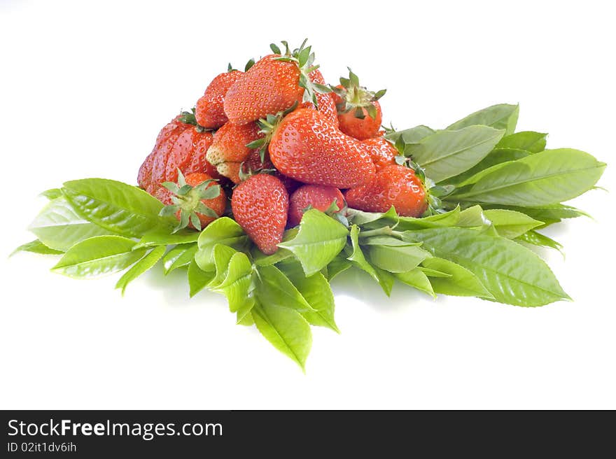 Freshly picked strawberries on a white background. Freshly picked strawberries on a white background