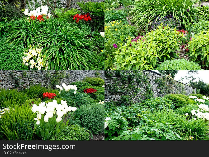 Four pictures of flower beds in spring. Four pictures of flower beds in spring