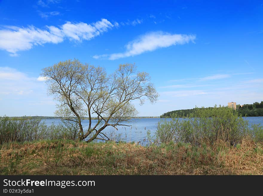 Spring Landscape