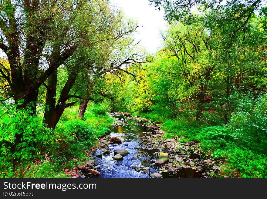 Photograph of the mountainous creek