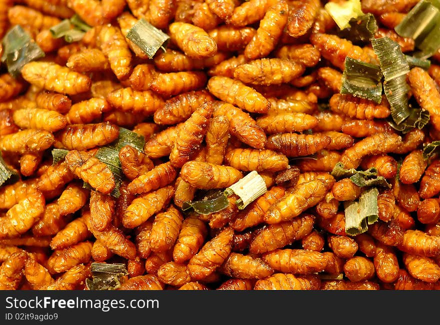 Insects Fry