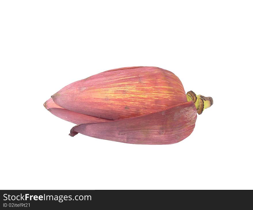 The Banana flower is used as a vegetable and can be prepared as a tasty side dish.