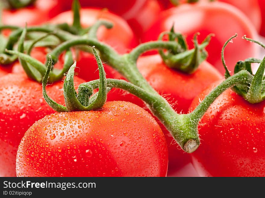 Close-up of fresh tomato on white background. Close-up of fresh tomato on white background