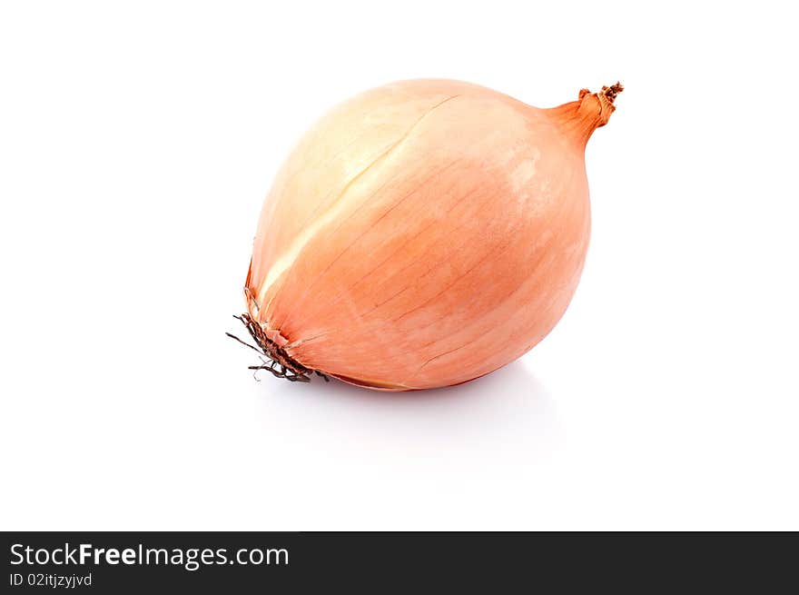 Onion ,isolated on white background