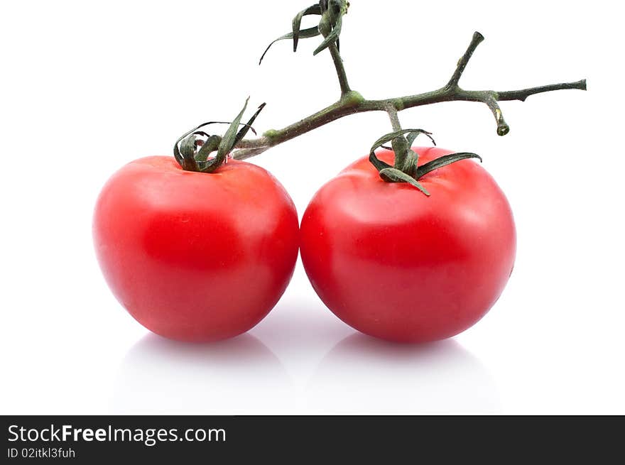 Ripe juicy tomatoes on green stem on the white background