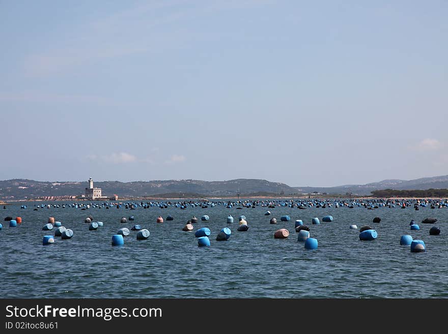 Italy Sardegna breeding of the mussel. Italy Sardegna breeding of the mussel