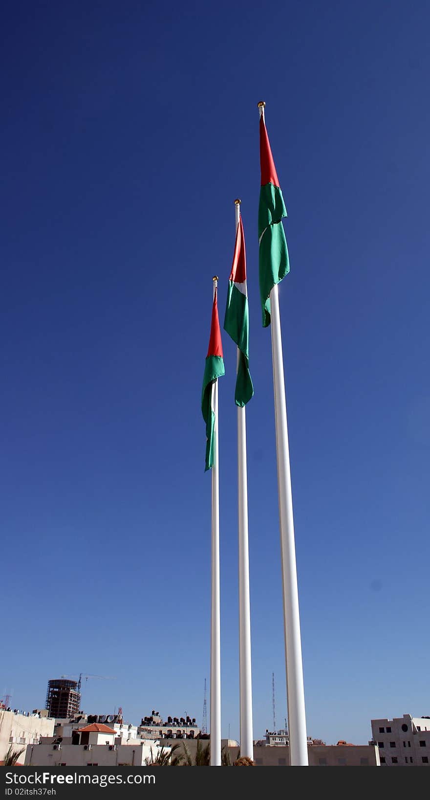 Palestinian flags